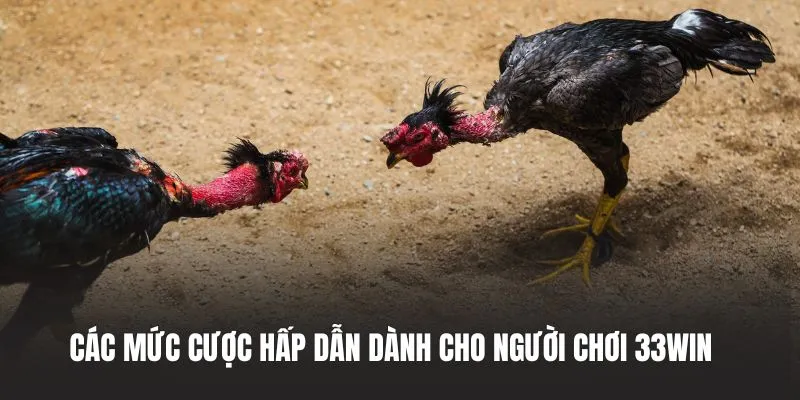 Các mức cược hấp dẫn dành cho người chơi 33WIN