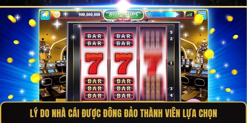 Lý do nhà cái được đông đảo thành viên lựa chọn